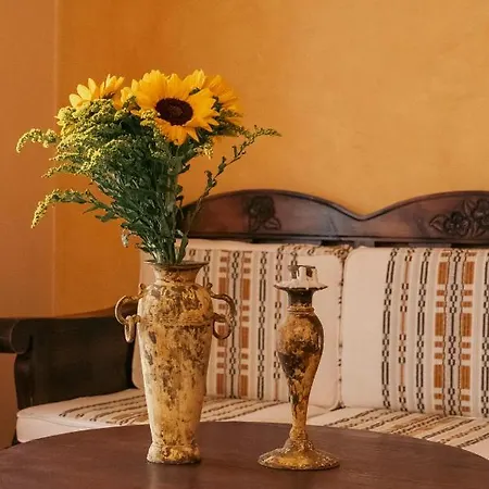 Anagenessis 4* Kalamaki (Zakynthos)